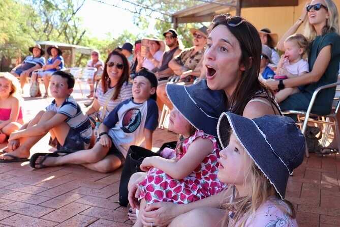 Malcolm Douglas Crocodile Park Tour Including Transportation - A Detailed Look at the Tour