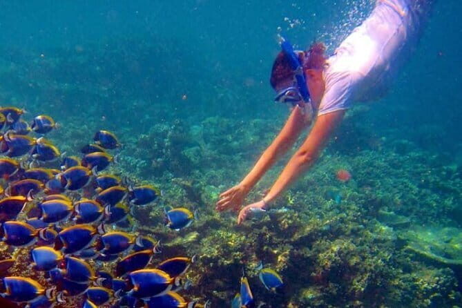 Maldives Adventure Trip - Final Thoughts