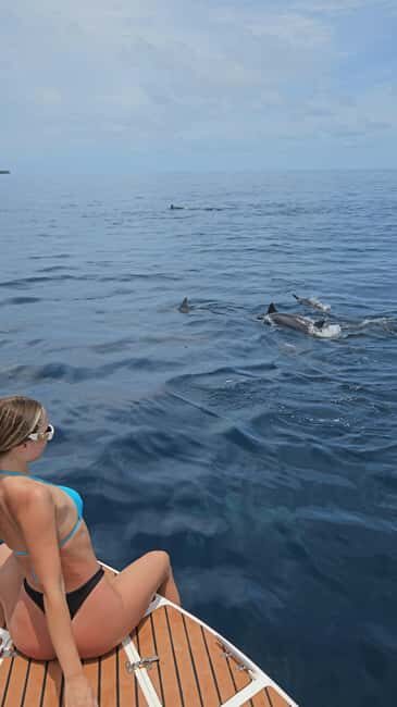 Maldives, Dhiffushi Shared Sunset Dolphin Cruise - Key Points