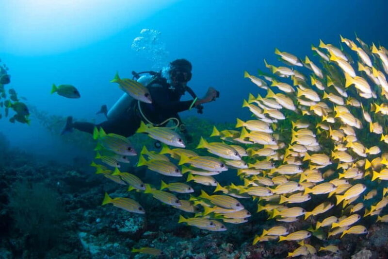 Maldives: Discover Scuba Diving - Key Points