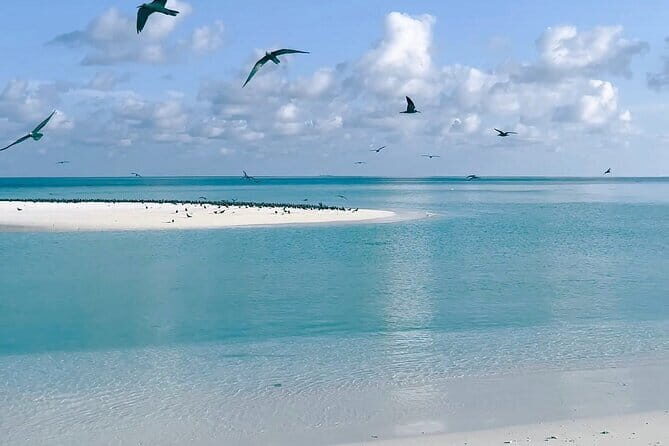 Maldives Dive Cruise Central Atolls Adventure - Who Is This Tour Best For?