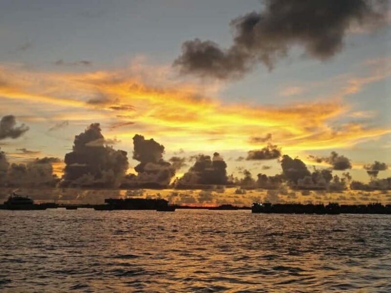 Maldives: Sunset Cruise with Dolphin Watching - Key Points