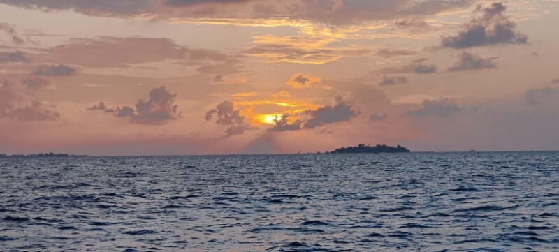 Maldives: Sunset Cruise with Dolphin Watching - The Sum Up