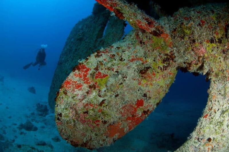 Maldives: Victory Shipwreck Scuba Dive - Potential Considerations