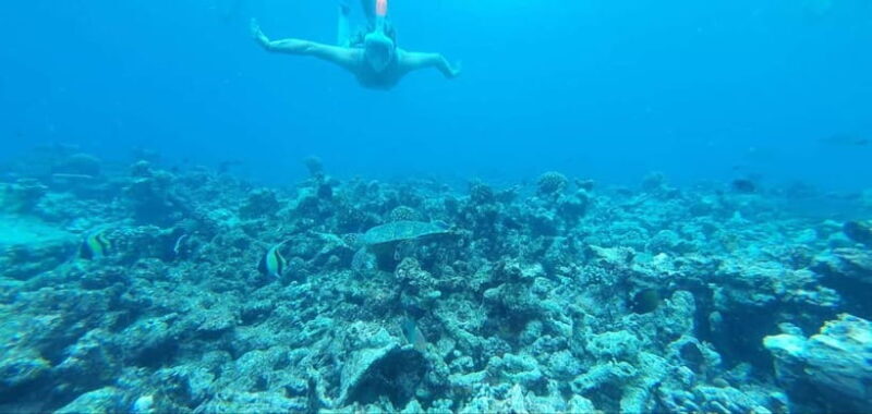 Malé: Two-Point Snorkelling Adventure - What to Expect on the Tour