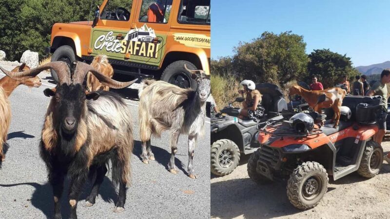 Malia: Off-Road Quad Safari Tour with Lunch and Transfers - A Deep Dive Into the Crete Quad Safari Experience