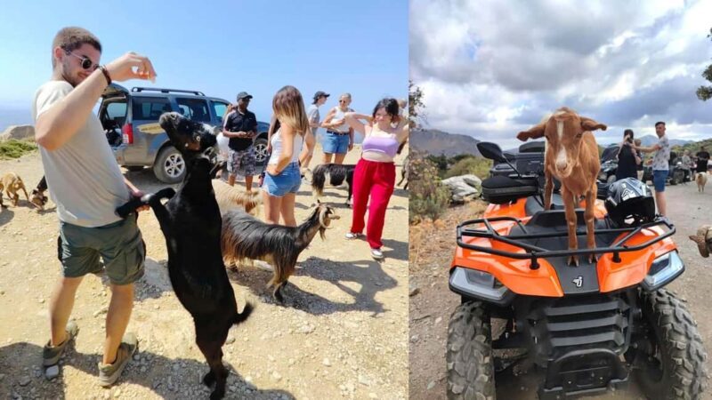 Malia: Off-Road Quad Safari Tour with Lunch and Transfers - FAQs