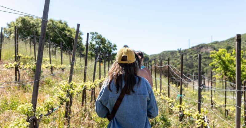 Malibu: Guided Vineyard Hike with Photo Stops and Wine - In-Depth Review: Why This Tour Stands Out