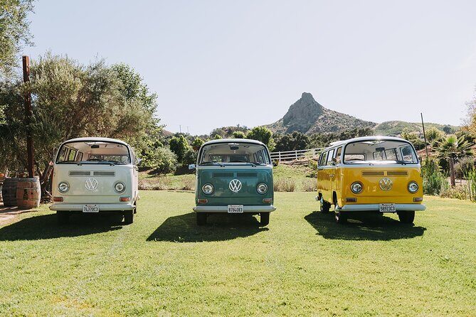 Malibu: Vintage VW Bus and Vineyard Tour - FAQs