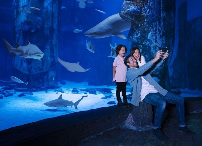 Mall of America: Sea Life Minnesota Aquarium Entry Ticket - FAQ