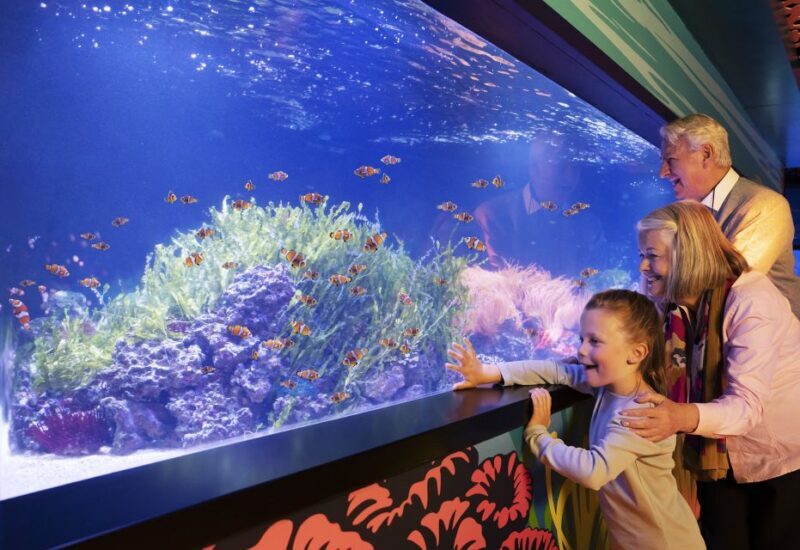Mall of America: Sea Life Minnesota Aquarium Entry Ticket - Final Words