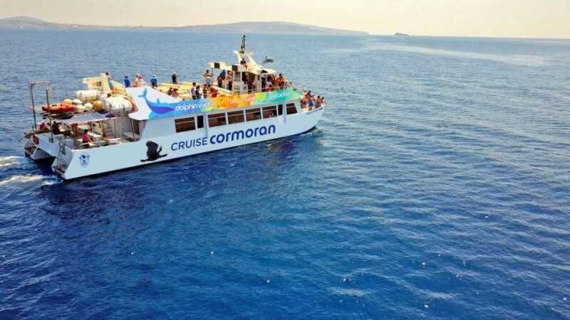 Mallorca: 2-Hour Dolphin Watching Cruise & Glass-Bottom Boat - Key Points
