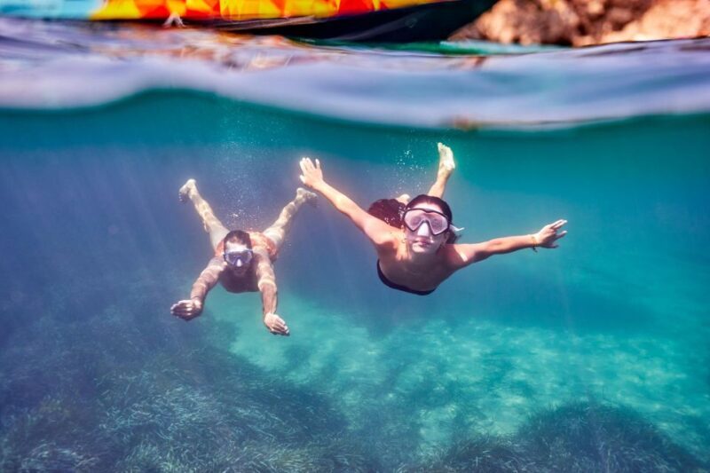Mallorca: 3-Hour Afternoon Dolphin Watching Boat Tour - The Sum Up: Who Should Consider This Tour?
