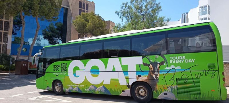 Mallorca: 3-hour bus tour around Calvià with 2 stops - Exploring Mallorca’s Calvià Region: A Comprehensive Review