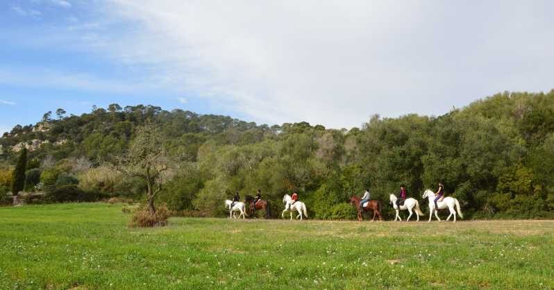 Mallorca: Activity, Antique Mallorca with Picnic - Key Points