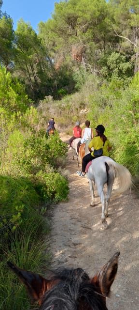 Mallorca: Activity, Antique Mallorca with Picnic - Discovering Mallorca’s Countryside on Horseback