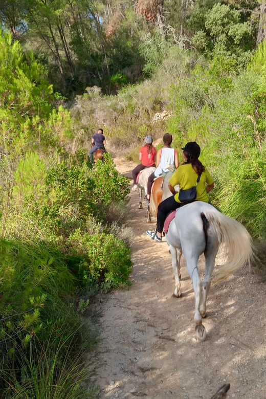 Mallorca: Activity, Antique Mallorca with Picnic - The Horses and Guides