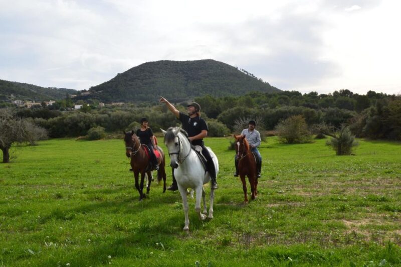 Mallorca: Activity, Antique Mallorca with Picnic - Authentic Experiences and What Sets It Apart