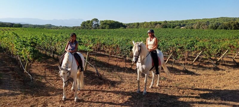 Mallorca: Activity, Antique Mallorca with Picnic - Who Is This Tour Best For?