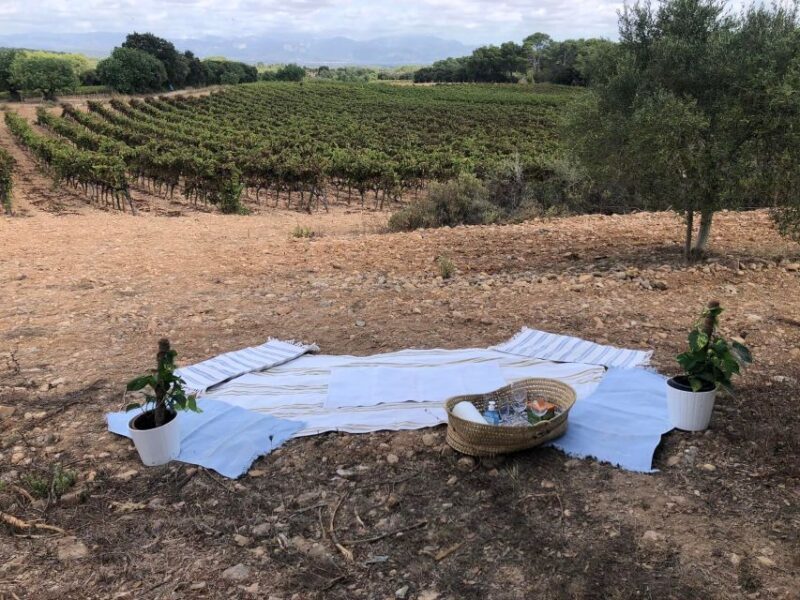 Mallorca: Activity, Antique Mallorca with Picnic - FAQs