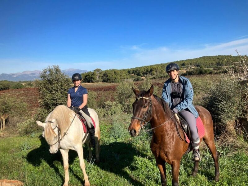 Mallorca: Activity with Horses, Antique Mallorca - Who Will Love This Experience?