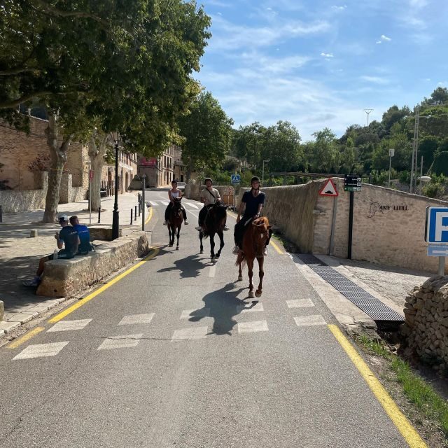 Mallorca: Activity with Horses, Antique Mallorca - Final Thoughts
