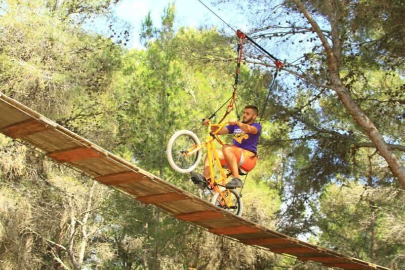 Mallorca: Adrenaline Tree Top Adventure Entry Ticket - A Closer Look at the Experience: The Itinerary