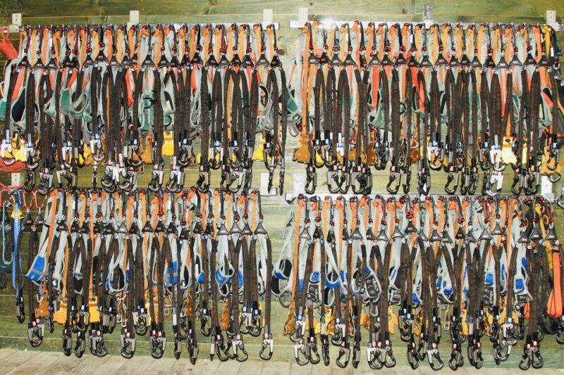 Mallorca: Adrenaline Tree Top Adventure Entry Ticket - FAQ
