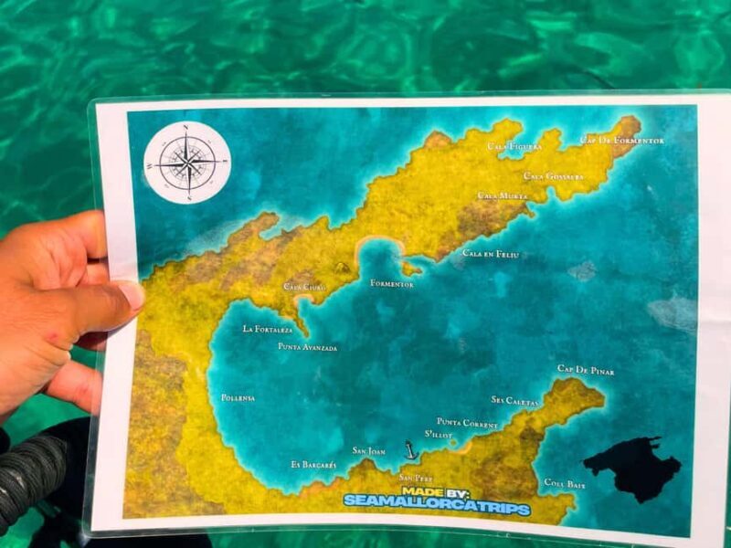 Mallorca: Alcudia, Private Boat Tour to Formentor & Pollensa - What to Expect During the Tour