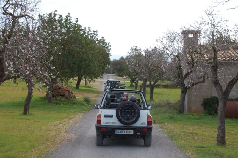 Mallorca: Beach and Mountain 4X4 Tour - Final Thoughts