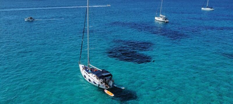 Mallorca Boat Tour with Swim, Cliff Food, & Drinks - Authentic Experiences and Honest Feedback