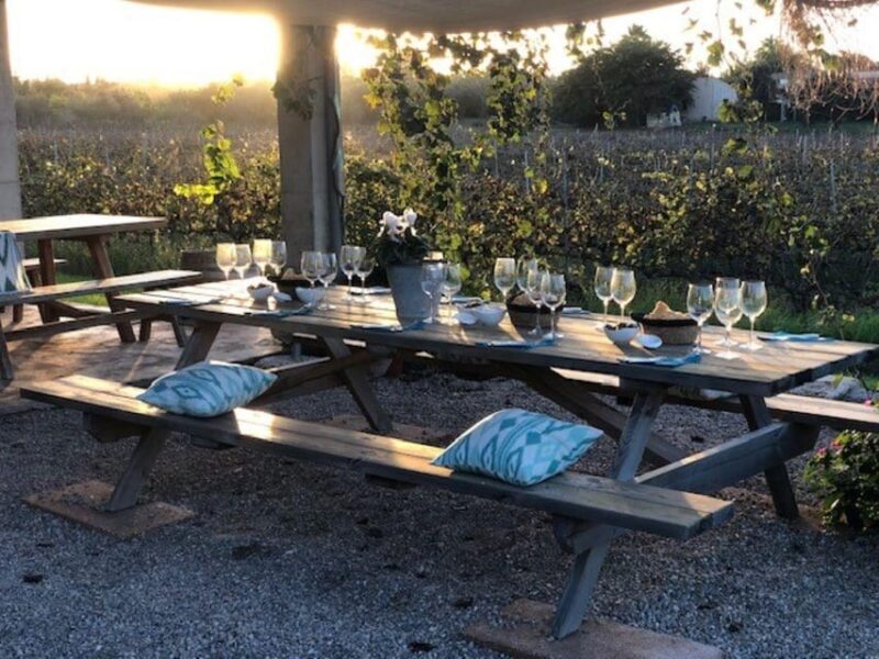 Mallorca: Bodega Butxet Vineyards & Winery Tour with Tasting - Frequently Asked Questions