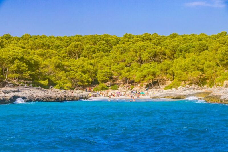 Mallorca: Cala Mondragó Natural Park Jetski Tour - A Practical Look at the Experience