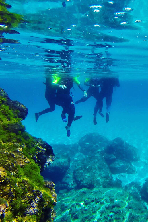 Mallorca: Cala Romántica Cliff Hike and Sea Cave Tour - What’s Included and What Not
