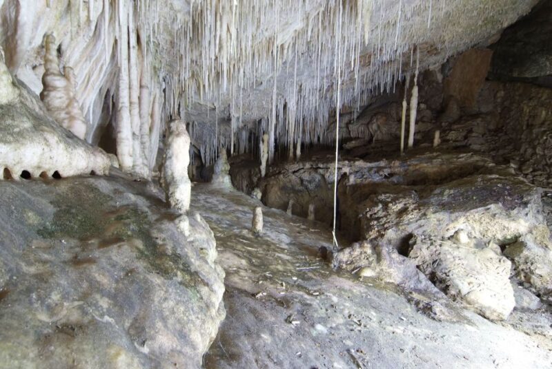Mallorca: Campanet Caves Entry Ticket - Discovering the Magic of the Campanet Caves in Mallorca