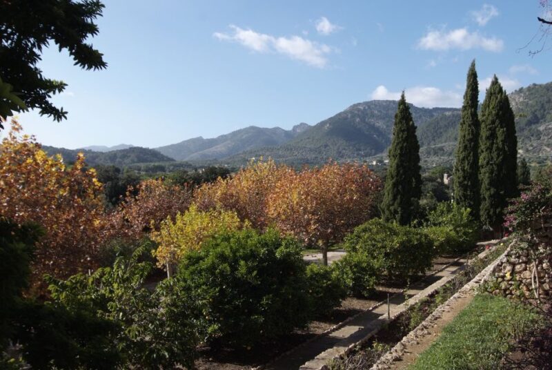 Mallorca: Campanet Caves Entry Ticket - Final Thoughts: Is It Worth Your Visit?