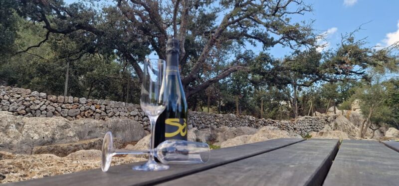 Mallorca: Cap & Cava - Minibus Tour to Formentor - GERMAN - A Detailed Look at What You’ll Experience
