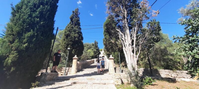 Mallorca: Cap & Cava - Minibus Tour to Formentor - GERMAN - Final Thoughts: Who Will Love This Tour?