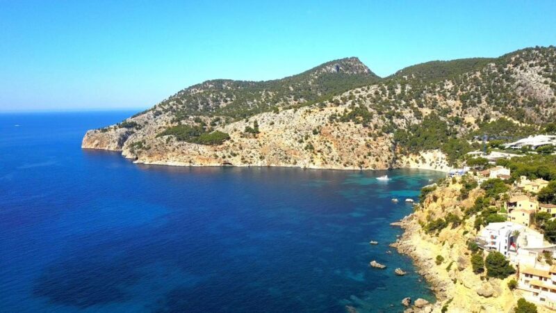 Mallorca: Catamaran Coastal Cruise with Lunch - Key Points