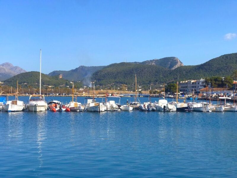 Mallorca: Catamaran Coastal Cruise with Lunch - What Makes This Coastal Cruise Special?