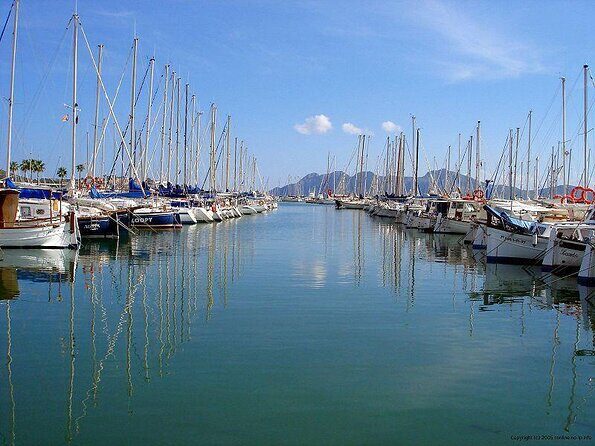 Mallorca Catamaran Cruise with Scenic Views and BBQ Lunch - Key Points