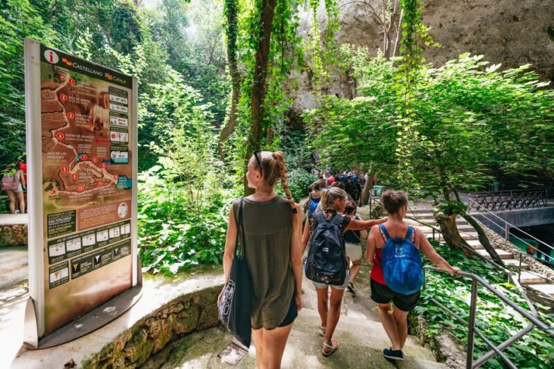 Mallorca: Caves of Drach Day Trip & Optional Caves of Hams - Discovering Mallorca’s Caves of Drach and Hams