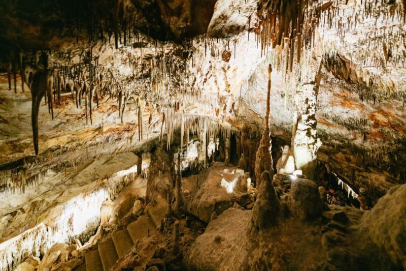 Mallorca: Caves of Drach Day Trip & Optional Caves of Hams - Authentic Experiences and Real Traveler Feedback