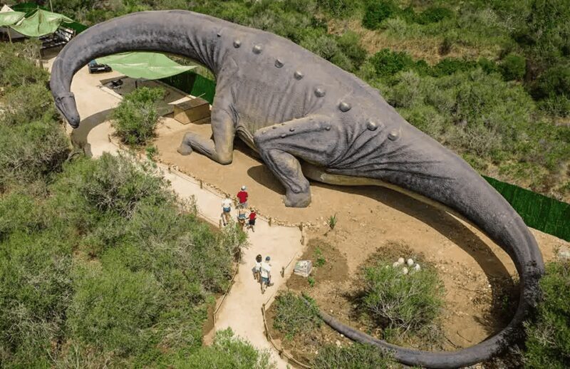 Mallorca: Caves of Hams and Dinosaurland Ticket with Pickup - References
