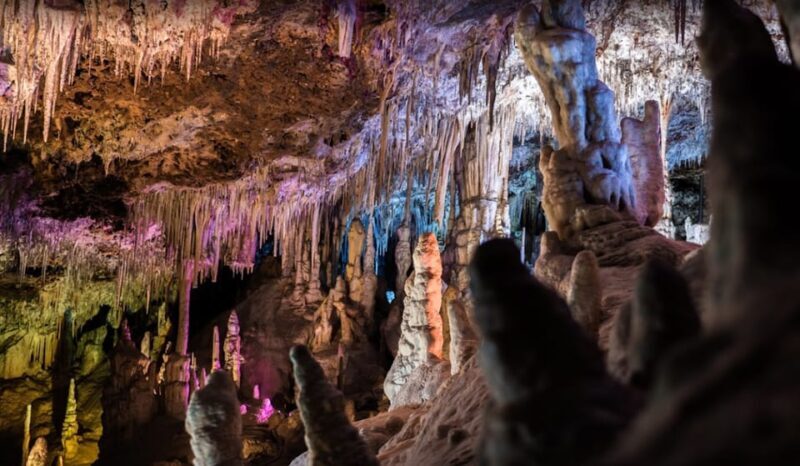 Mallorca: Day Trip to Caves of Hams & Optional Dinosaurland - Experience Mallorca’s Hidden Wonders: The Caves of Hams & Optional Dinosaurland