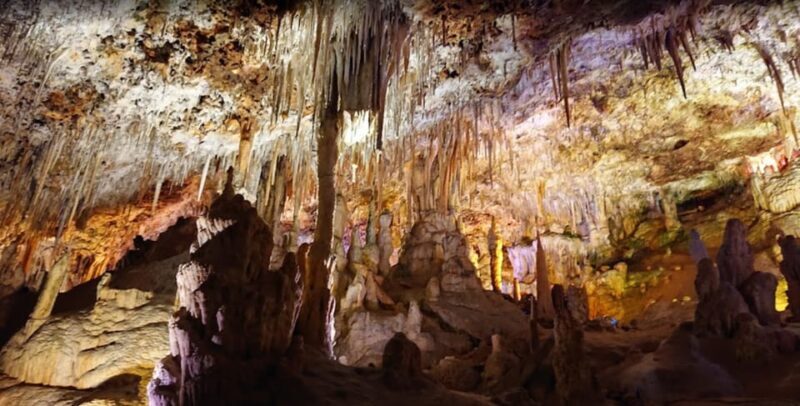 Mallorca: Day Trip to Caves of Hams & Optional Dinosaurland - Who Will Enjoy This Tour?