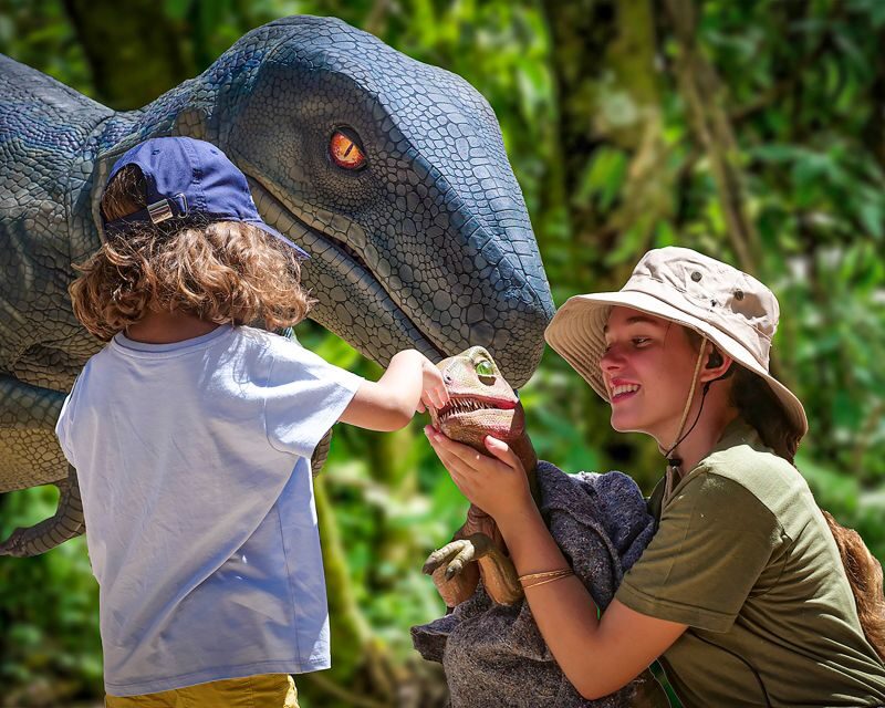 Mallorca: Dinosaurland and Caves of Hams Combined Ticket - The Practicalities: Planning Your Visit