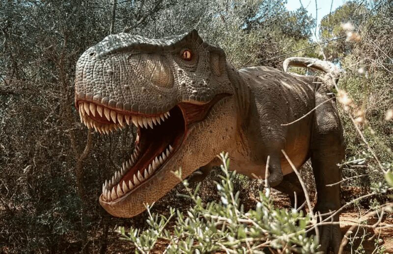 Mallorca: Dinosaurland Park, Hams Caves & Porto Cristo Tour - Key Points