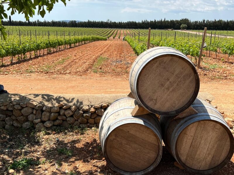 Mallorca: Discover the secret treasures of the local wine - Practical Tips for Your Wine Tour