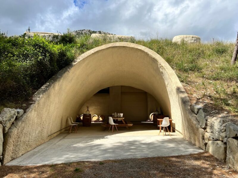 Mallorca: Discover the secret treasures of the local wine - Final Thoughts: Who Will Love This Experience?